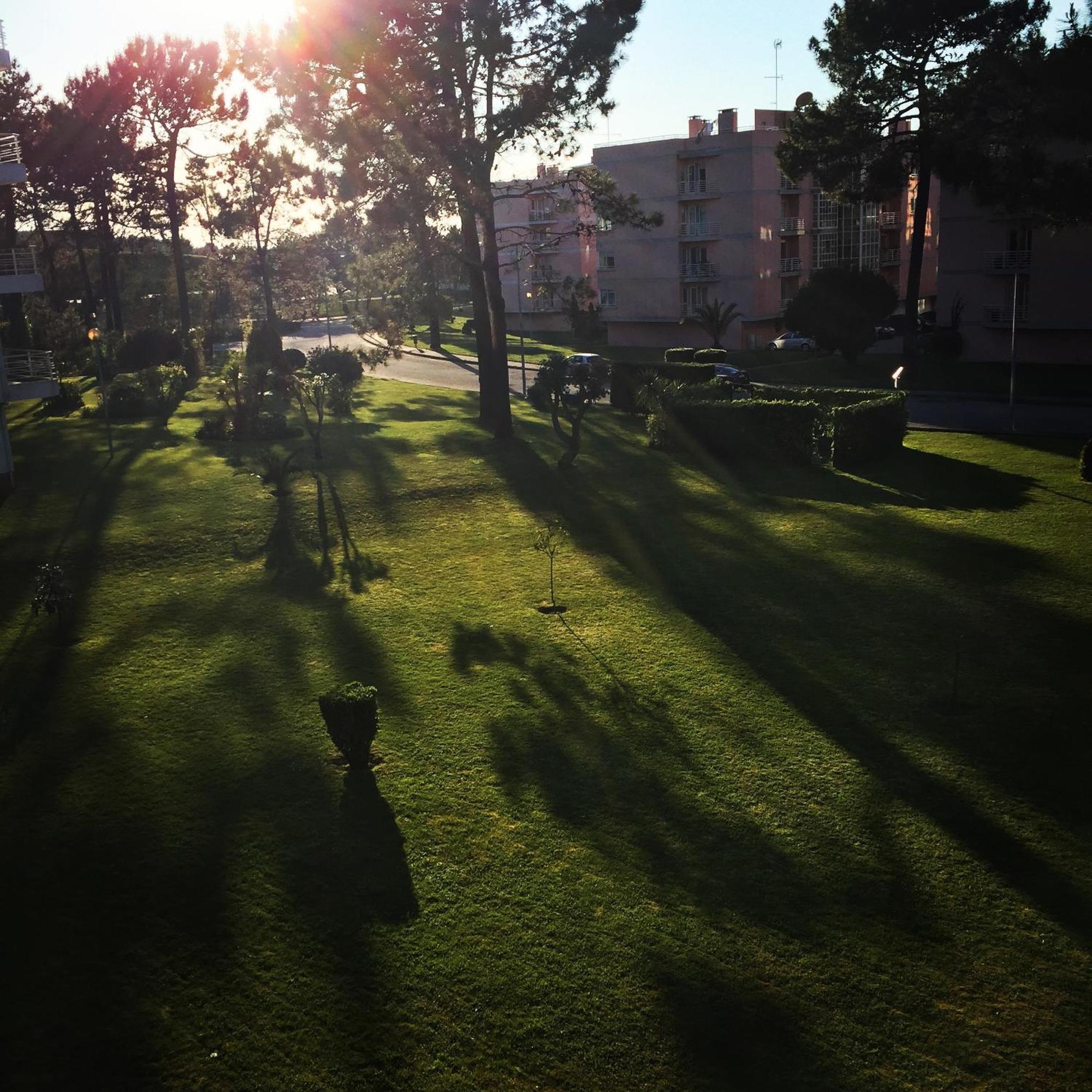 Viana Do Castelo, Cabedelo Beach Apartment Εξωτερικό φωτογραφία